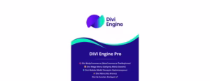 DIVI Engine Pro